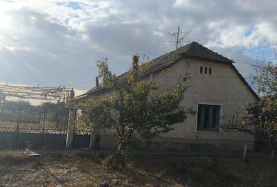Casă cu 4 camere cu Teren 2518 Mp în Comloșu Mic