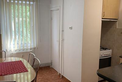 Apartament cu 2 camere decomandat în Livezeni - 3