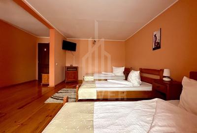 Pensiunea Polyana – business la cheie în inima stațiunii balneoclimaterice Bazna - 10