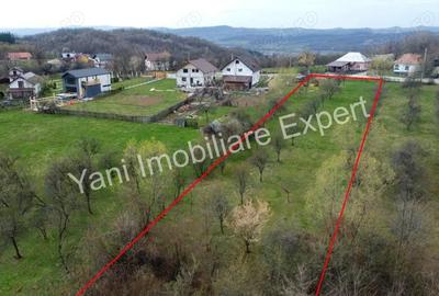 Teren în Borovinești - 5