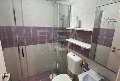 Studio Duplex , 2 Camere , Zona Brancoveanu - 7