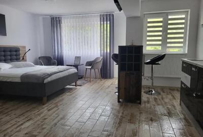Garsonieră decomandată în Brădetu