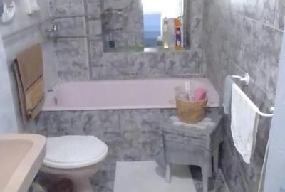 Casă cu 6 camere cu Teren 2027 Mp în Miniș - 7