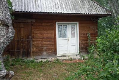 Casă cu Teren 9000 Mp în Poiana Vadului - 2