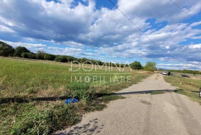 Teren intravilan cu PUZ, situat in Targu-Jiu, Slobozia - 9