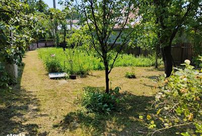 Casă cu 3 camere cu Teren 1150 Mp în Scorțeni - 4