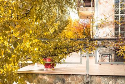 Casă cu 3 camere cu Teren 2500 Mp în Drajna - 9