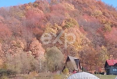 Teren Construcții de 1250 mp, în Vălenii de Munte - 4