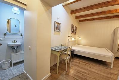 Casa 2 apartamente, ultrafinisate,mobilate la cheie, Horea zona Urania - 19