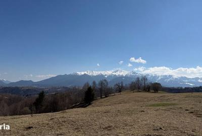 Spațiu comercial, în Peștera - 8