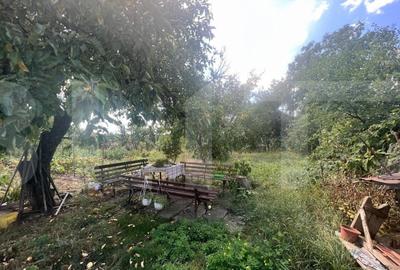 Casa individuala, 200mp, 850 teren, zona Pod Ira - 3