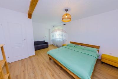 Casă individuală cu 8 camere cu Teren 6370 Mp în Groșii Țibleșului - 11