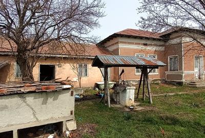 Casă individuală cu 5 camere cu Teren 3100 Mp în Segarcea-Deal - 4