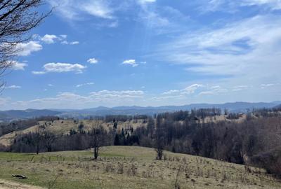 Spațiu comercial, în Central - 2