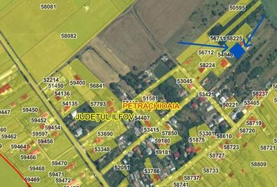 Comision 0% cumparator - Teren Petrachioaia, Ilfov - 3