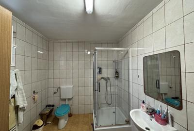 Individuala Sanmihaiu Roman P+M,4 Dormitoare,2 Bucatarii,2 Bai,Mobilata,Utilata - 15