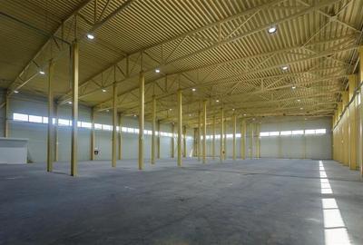 Inchiriere depozit/hala/spatiu industrial Otopeni - Centura - 4