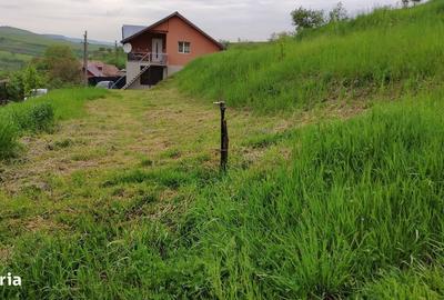 Teren de 2506 mp, în Suceagu - 5