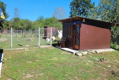 Vind casa Sat Balanesti,Gorj - 8