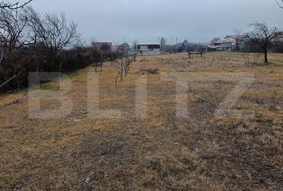 Spațiu comercial, în Blejoi - 2