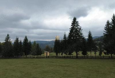 Teren de 16813 mp, în Fundu Moldovei - 9