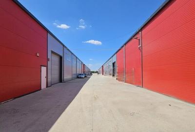 Hala noua | Afumati DN2 | 580mp - 3