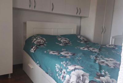 Apartament cu 2 camere decomandat în Gura Râului - 4