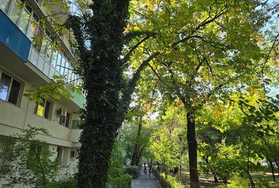 Apartament cu 2 camere semidecomandat în 1 Mai - 9