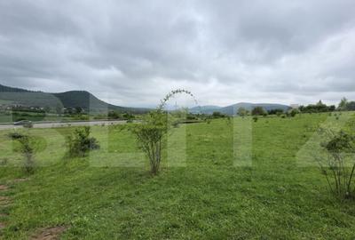 Teren intravilan de vanzare, 14,5 ari, zona Sud-Bistrita - 1