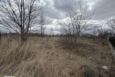 Spațiu comercial, în Holt - 1