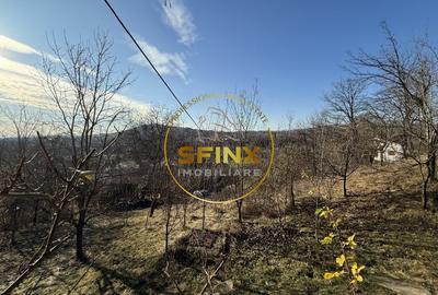 Casa moderna 5 camere Drajna de Sus,  teren generos si pomi fructiferi - 10