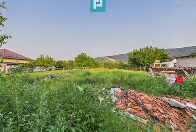 Casă cu 3 camere în Galșa, Arad, teren 1197 mp - 13