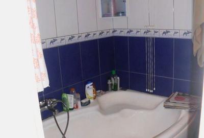 Apartament cu 3 camere decomandat în Valea Ialomiței - 3