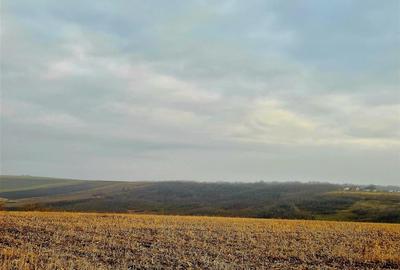 Teren pentru casa cu vedere frumoasa - 8