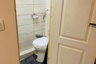 Garsonieră decomandată în Nicolina - 2