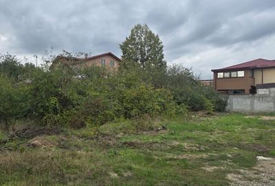 REL4001052 Teren de vanzare Domnesti - 2