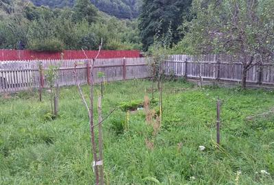 Teren de 725 mp, în Păscoaia - 4