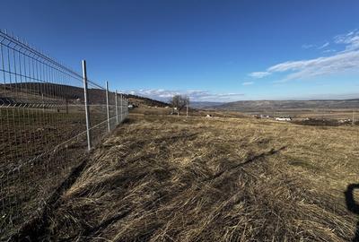 Teren Construcții intravilan de 1153 mp, în Micești - 6