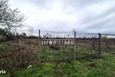 Spațiu comercial, în Curtișoara - 8