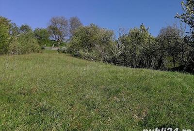 Teren de 1510 mp, în Leșu - 5