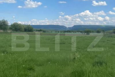 Teren 2.400 mp cu 72m asfalt, utilitati la limita ?i panora - 3