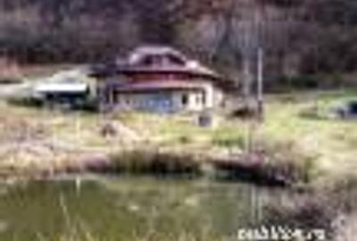 Casă cu 6 camere cu Teren 2700 Mp în Bradu - 2