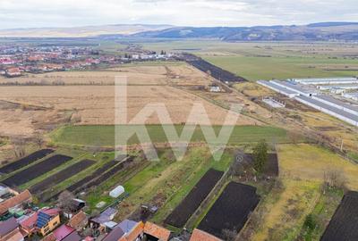 Teren 10000 mp in Extravilan, Bod, Brasov- COMISION 0% - 16