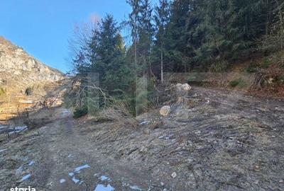 Spațiu comercial, în Scărișoara - 6