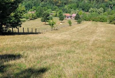 Teren de 1400 mp, în Săvârșin - 2