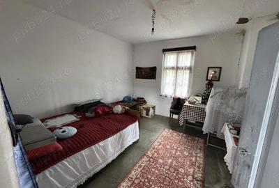 Casa + anexe de vanzare Sat Ro?iori, Comuna Vanatori, Mehedinti - 11