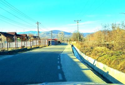 Teren de 10000 mp, în Unguriu - 3