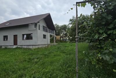 Casă cu 5 camere cu Teren 1483 Mp în Mitocu Dragomirnei - 4