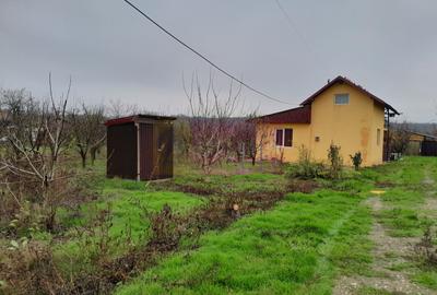 Casă individuală cu 3 camere cu Canalizare în Bărcănești - 1