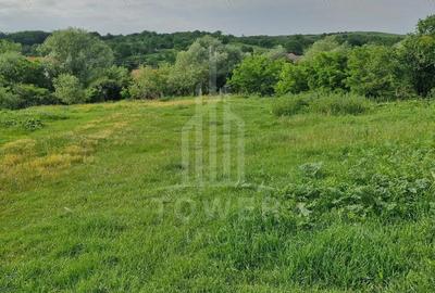 De vanzare Teren versatil 3.919 mp in localitatea Armeni. Sibiu - 4